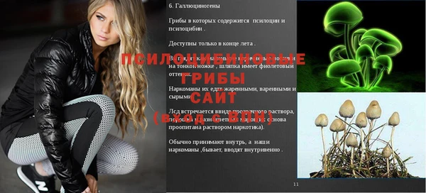 apvp Алексеевка