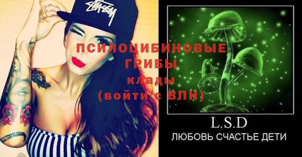 ПСИЛОЦИБИНОВЫЕ ГРИБЫ Абдулино