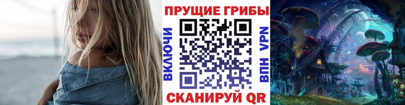 Псилоцибиновые грибы мицелий Агрыз